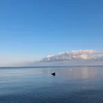 Walfisch Inkl Strandkorb