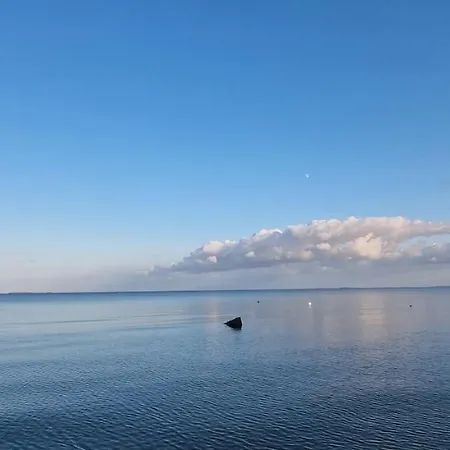 Walfisch Inkl Strandkorb